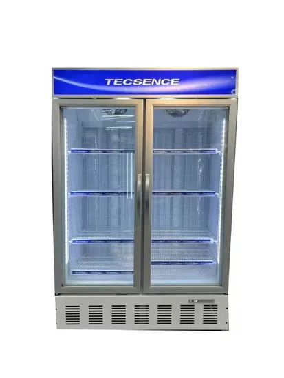 Single Glass Door Ice Cream Commercial Display Freezer - Ice Cream Freezer and Glass Door Freezer pr