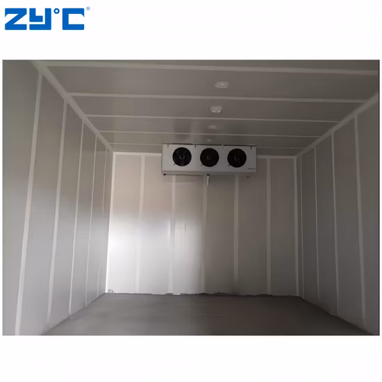 High Quality Low Price Commercial Cooler Room/Storage with Refrigeration Unit/Evaporator for Fruit/V